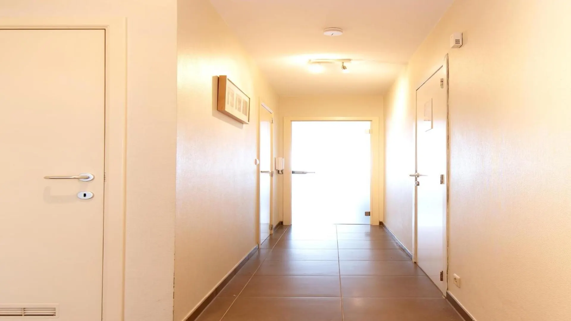 Pet-Friendly Apartment In Middelkerke